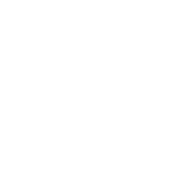 Scarab Promotions
